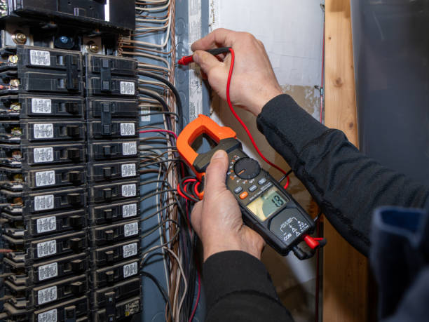 Best Ceiling Fan Installation Electrician  in Rapids, NY